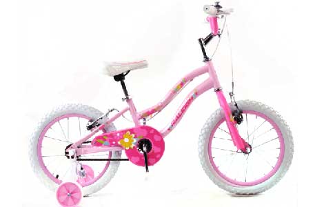 ENDURO 16" BOYS MOUNTAIN BIKE
